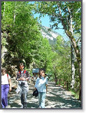 Wandern-gr&uuml;n2-640x480